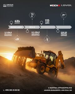 WZ30-25 Backhoe Loader &mdash; Power and versatility in one machine!